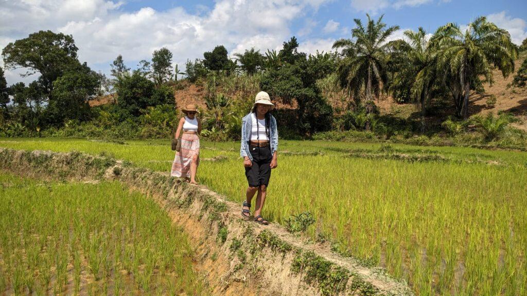 Voyageuses marchant dans une rizière à Madagascar lors d’un séjour immersif et authentique chez l’habitant.